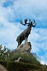 Memorial to the dead of the Newfoundland regiment at the Somme